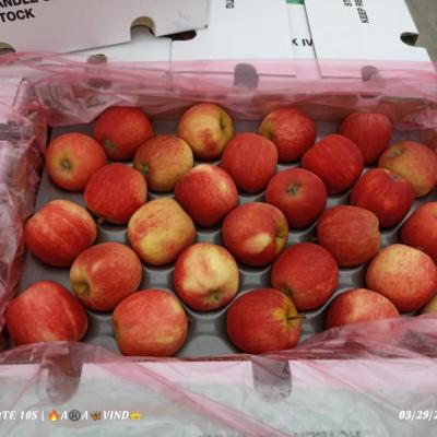 Red Apple